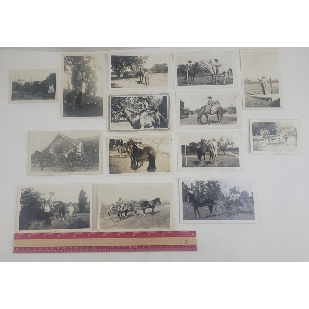 Lot Of 14 1920s Photographs & Post Cards Wild West Cowboys, Horses And Kids